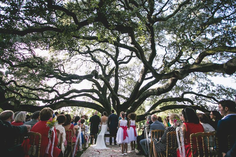 Plano general de una boda celebrada bajo una encina milenaria